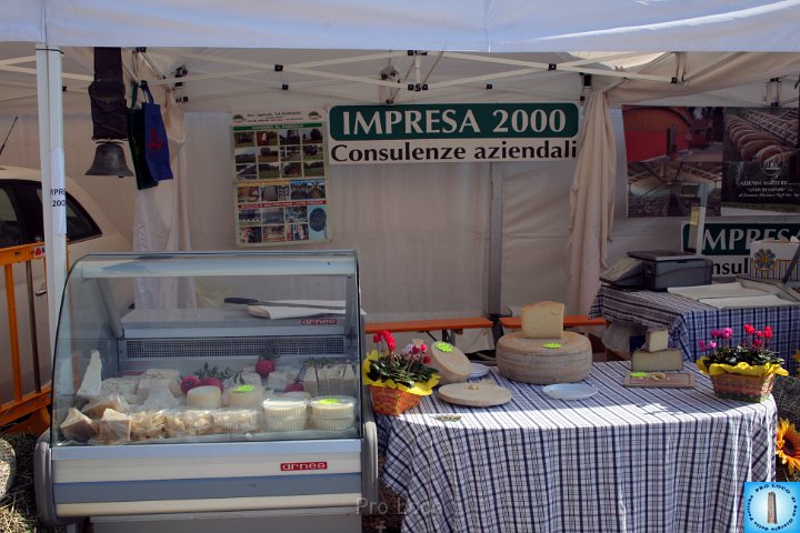 Area Fiera (397).JPG